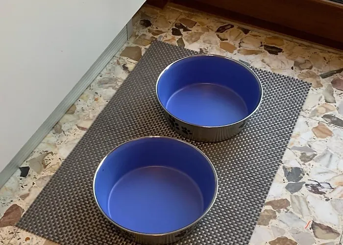 Free Parking Un Angolo Di Sole A Marebu!